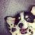 Zhihu profile picture for @reilly