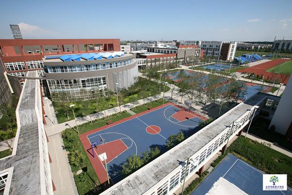 高中上国际班是什么体验