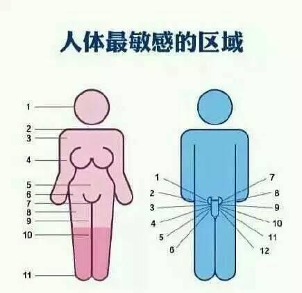 男人的敏感带有哪些