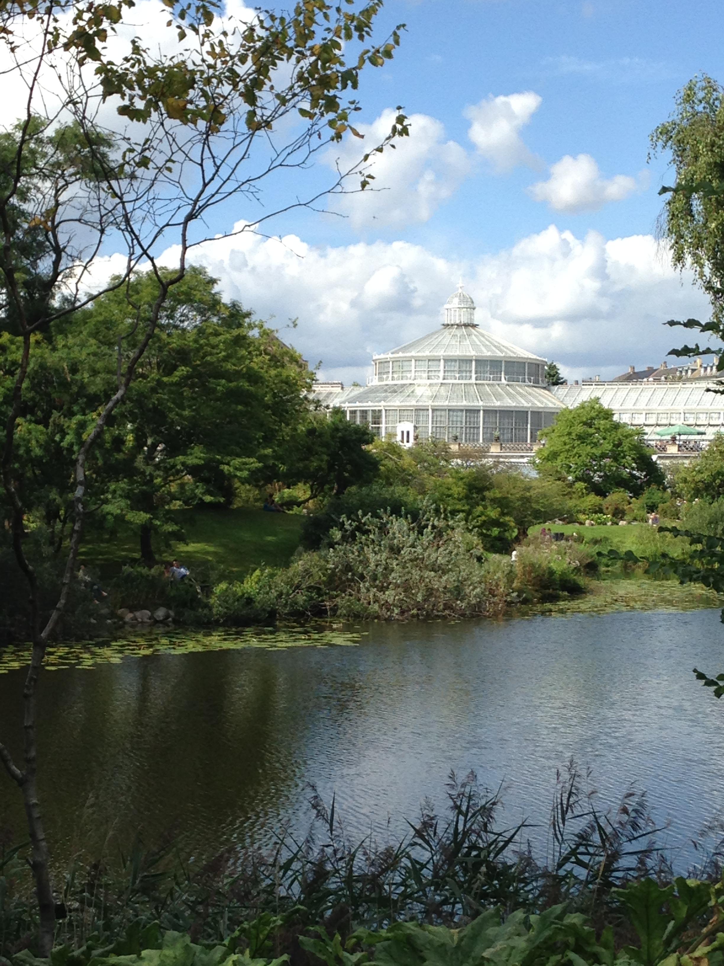 美国哥本哈根大学图片