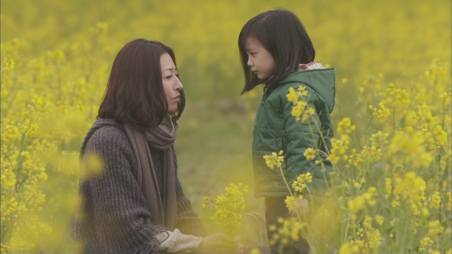 如何评价日剧mother中的老师带走芦田爱菜的行为是错还是对