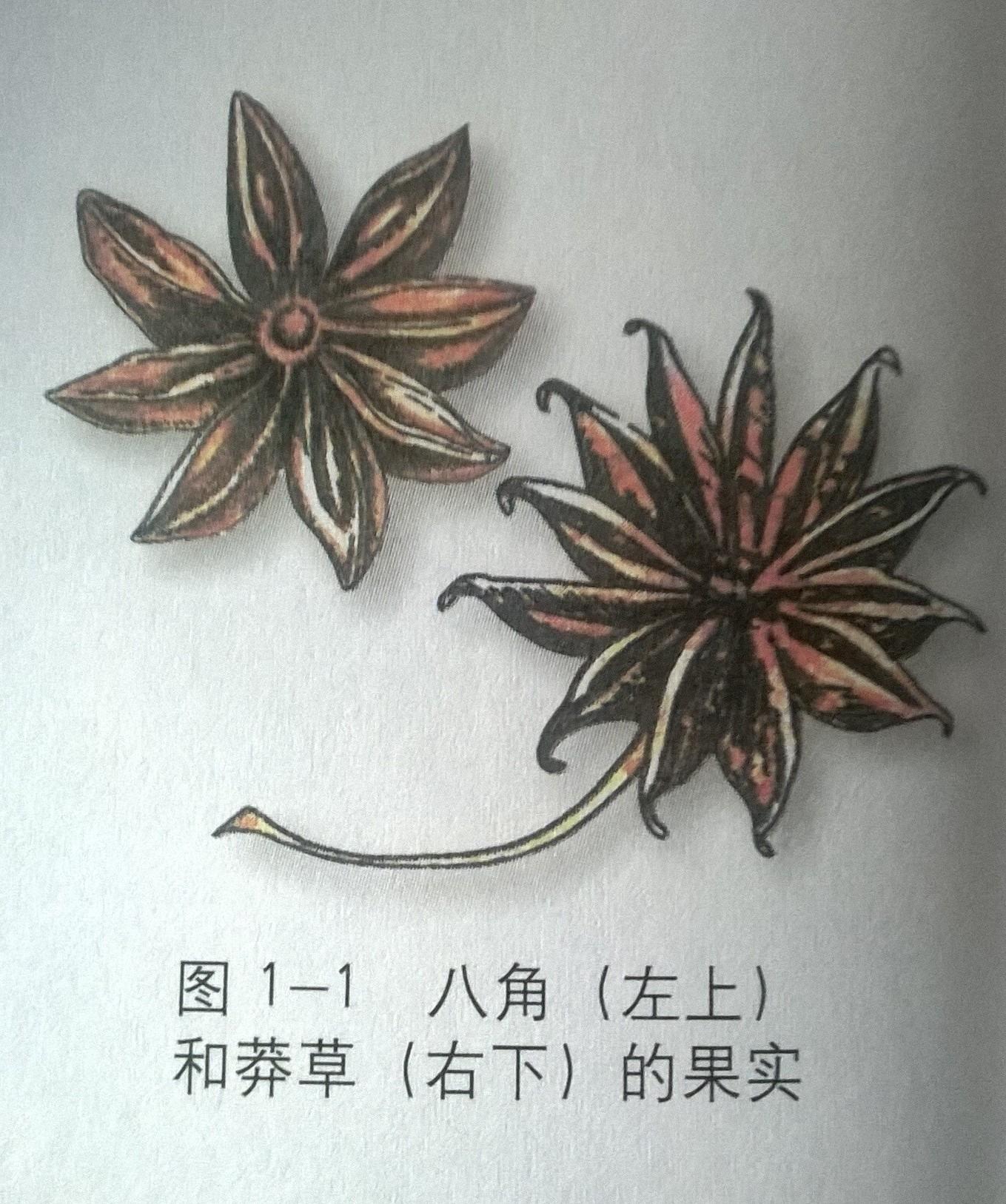 市场上现在是否有掺杂莽草的八角出售?生活中是否应当加以防范?