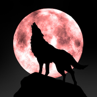 Zhihu profile picture for @funeral