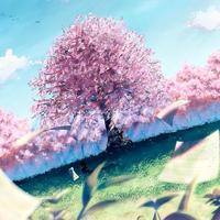 Zhihu profile picture for @jorge
