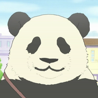 Zhihu profile picture for @shhh