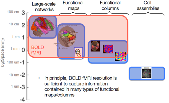 【fMRI Note】Module10.1 Spatial and Temporal Resolution of Bold fMRI ...