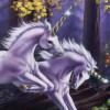 Zhihu profile picture for @comprehensive
