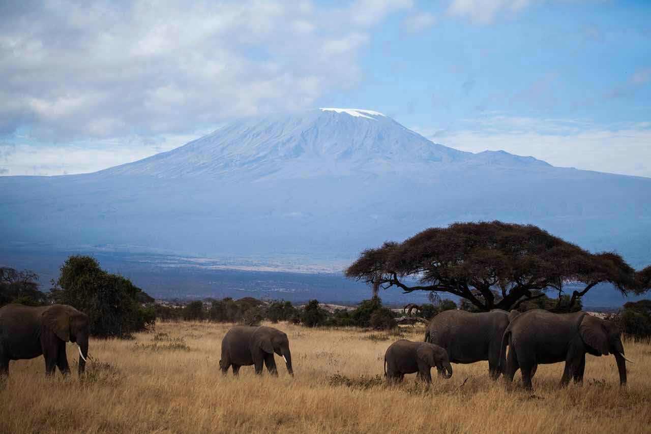 去肯尼亚旅行是一种什么体验?