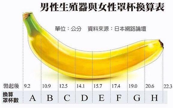 丁丁16cm算是什么水平