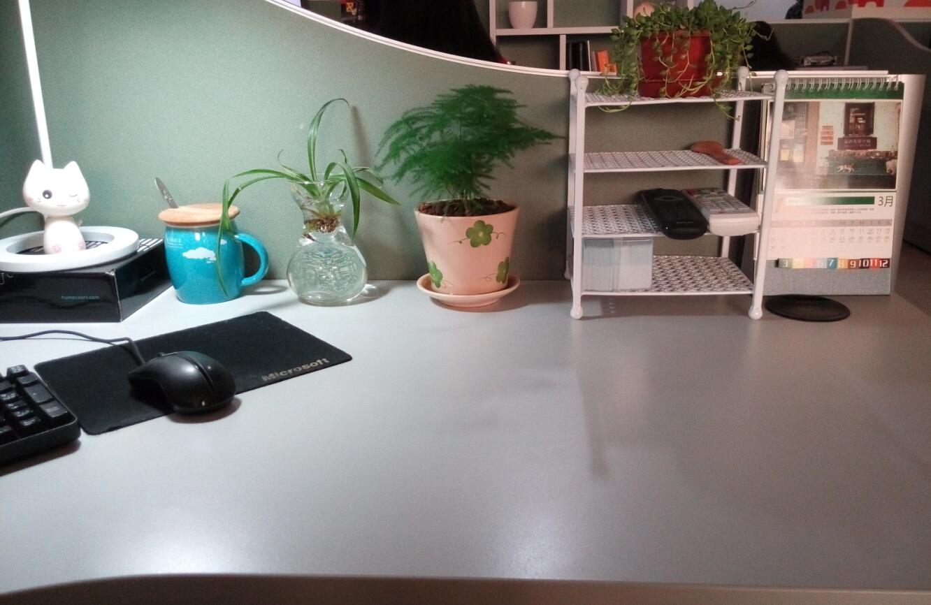 如何优雅的布置办公桌格子间