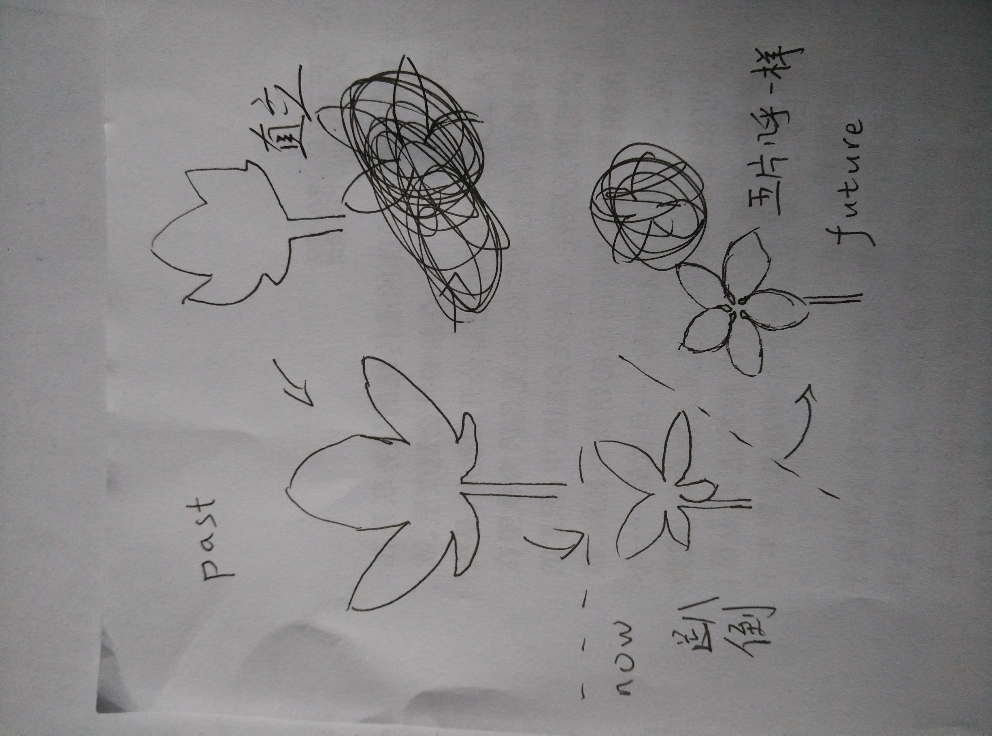 发财树的叶子为什么都长成三长两短