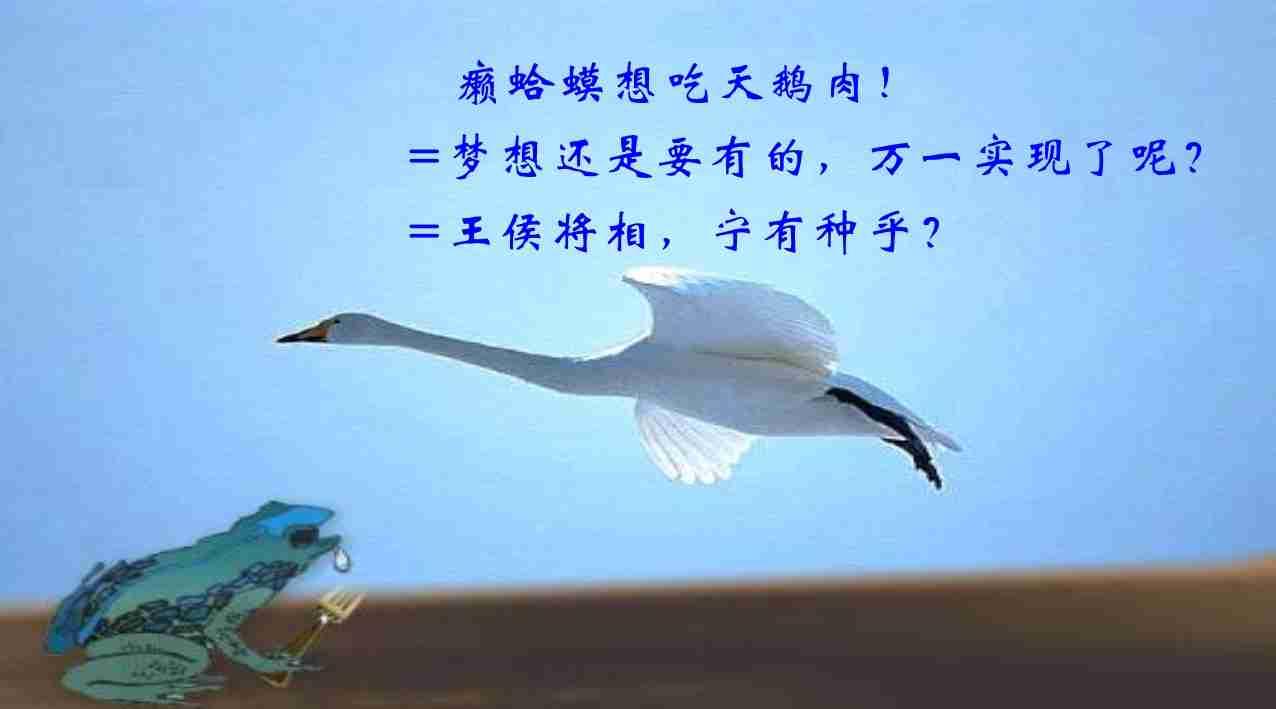 癞蛤蟆能吃天鹅肉不
