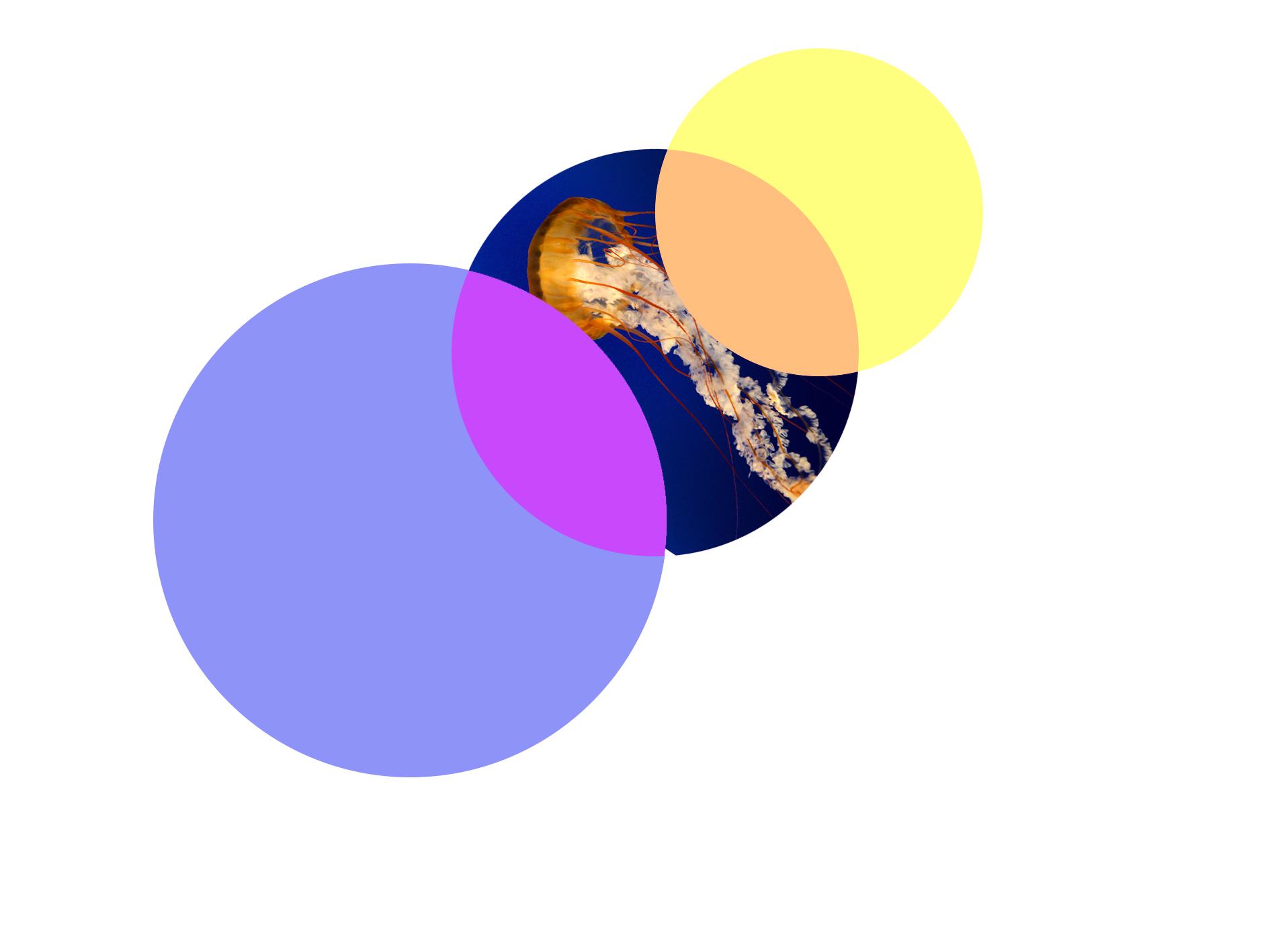 如何从零基础入门并精通 PS?19 如何从零基础入门并精通 PS?