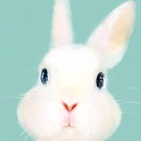 Zhihu profile picture for @devote