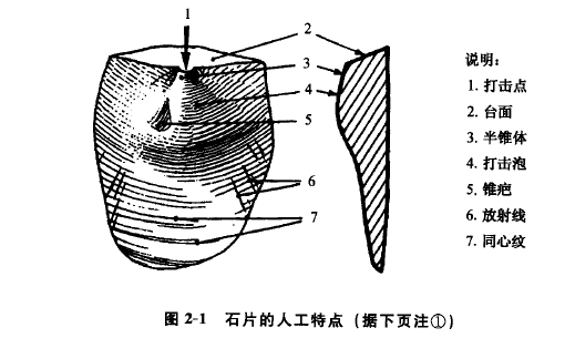 怎么辨别石器时代的手斧？ - 知乎