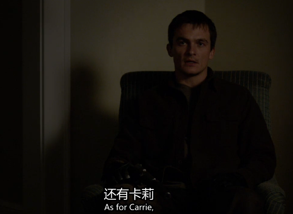 如何评价国土安全里的角色彼得奎恩peterquinn
