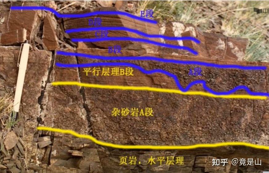 【地史学-学习记录】第三章 地层学 - 知乎
