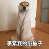 有机后浪
