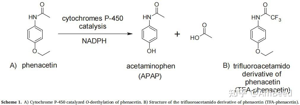 对硝基氯苯如何合成非那西丁