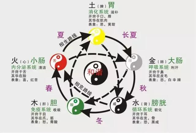 【五行】五行的传承与发展 ——深度解析五行学说的前世今生 - 知乎