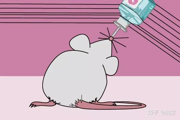 最近养的c57小鼠总是吃幼崽怎么办