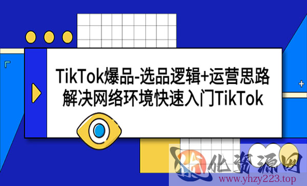 《TikTok爆品选品逻辑+运营思路》解决网络环境快速入门TikTok_wwz