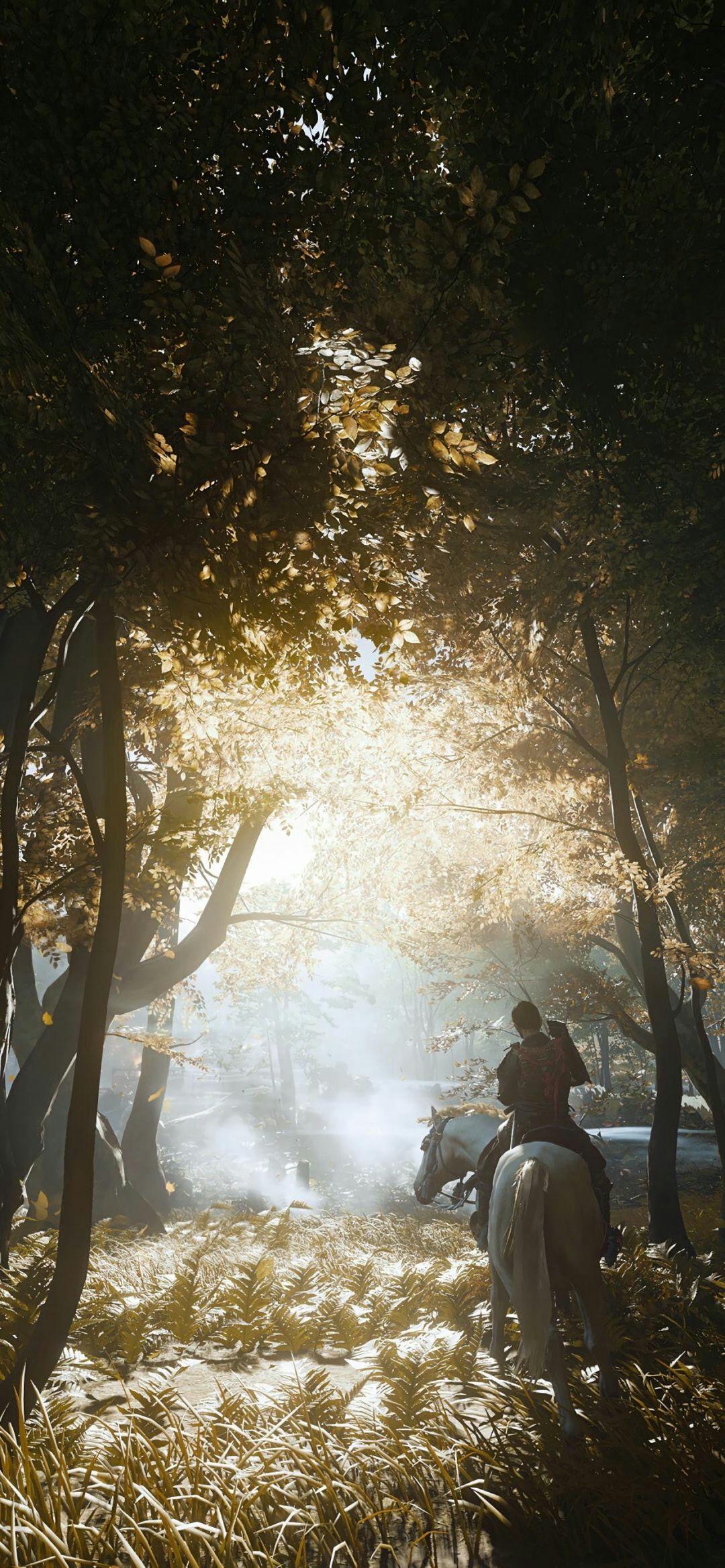 能分享几张你觉得最最好看经典的手机壁纸吗? - 知乎