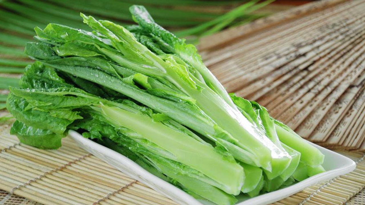 今季も再入荷 A菜 油麦菜 100g www.cartagenaconcierge.com.co 今季も再入荷 A菜 油麦菜 100g www.cartagenaconcierge.com.co