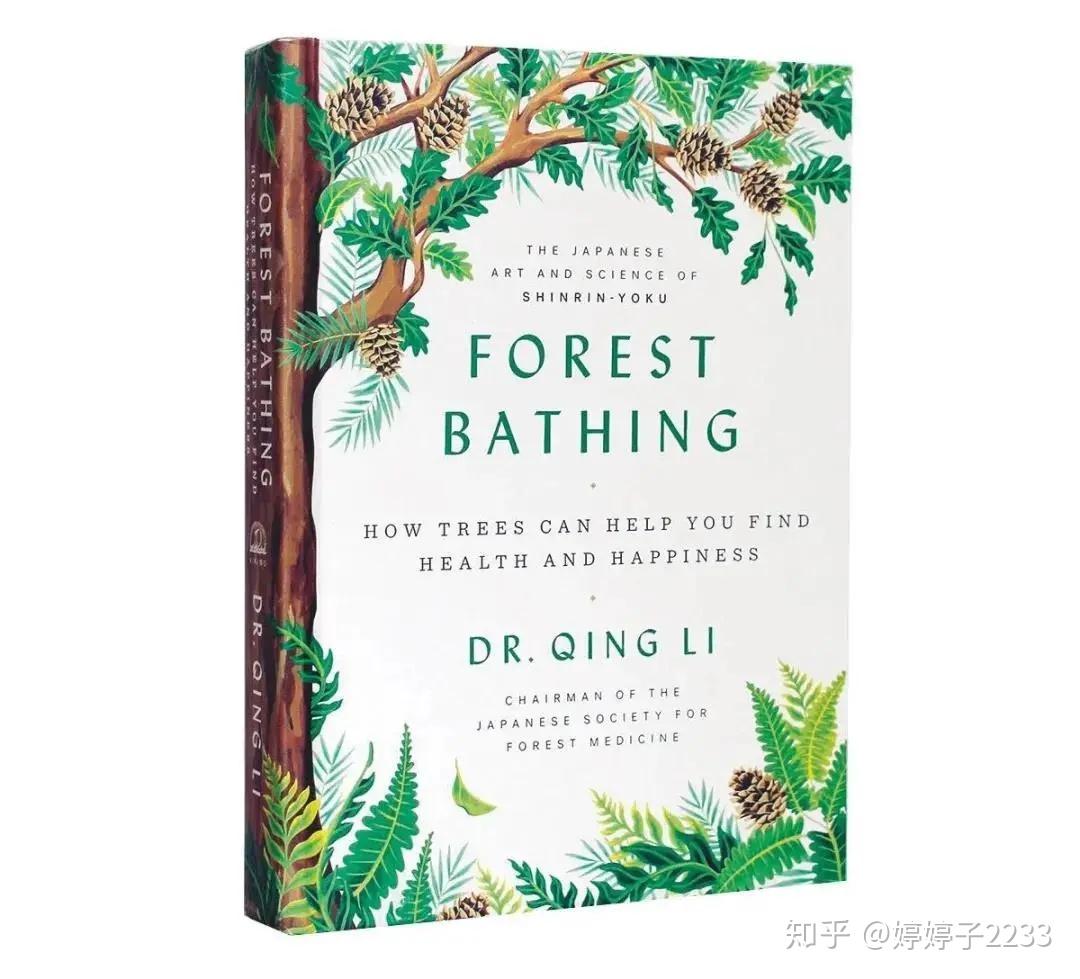 森林康养:在森林中疗愈身心灵 - 知乎