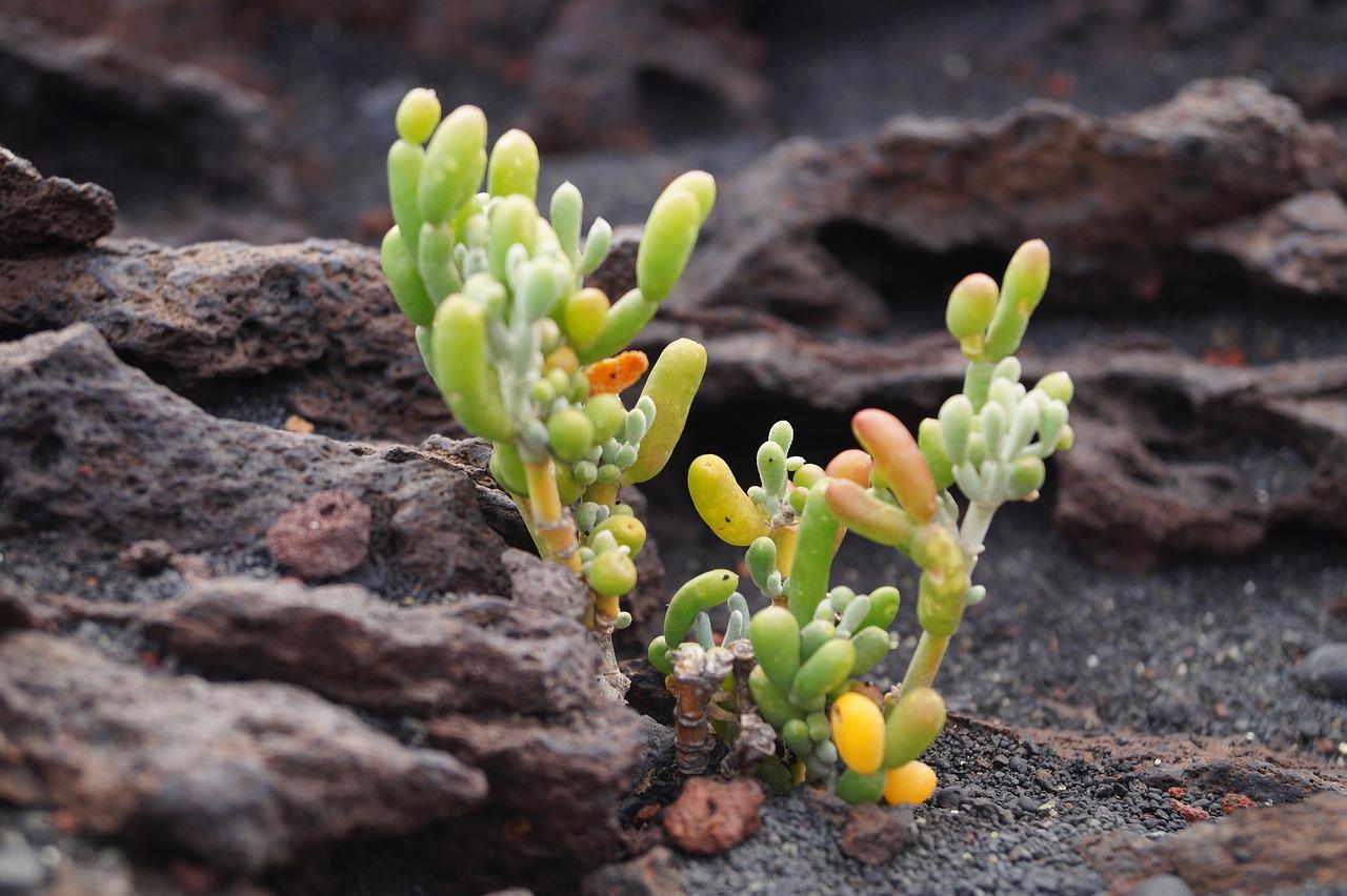 火山岩如何破碎