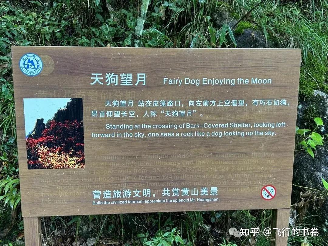 黄山雨中独行记(一):从云谷寺徒步到白鹅岭,一路有啥美景? - 知乎
