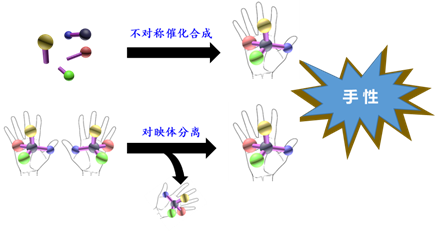 怎么看待分子的手性和手性分子的关系？ - 知乎