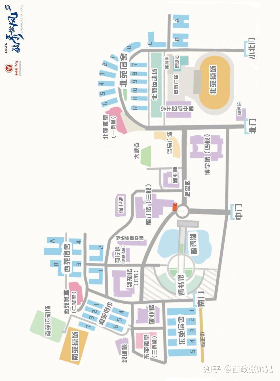 在西南政法大学就读是怎样的一番体验