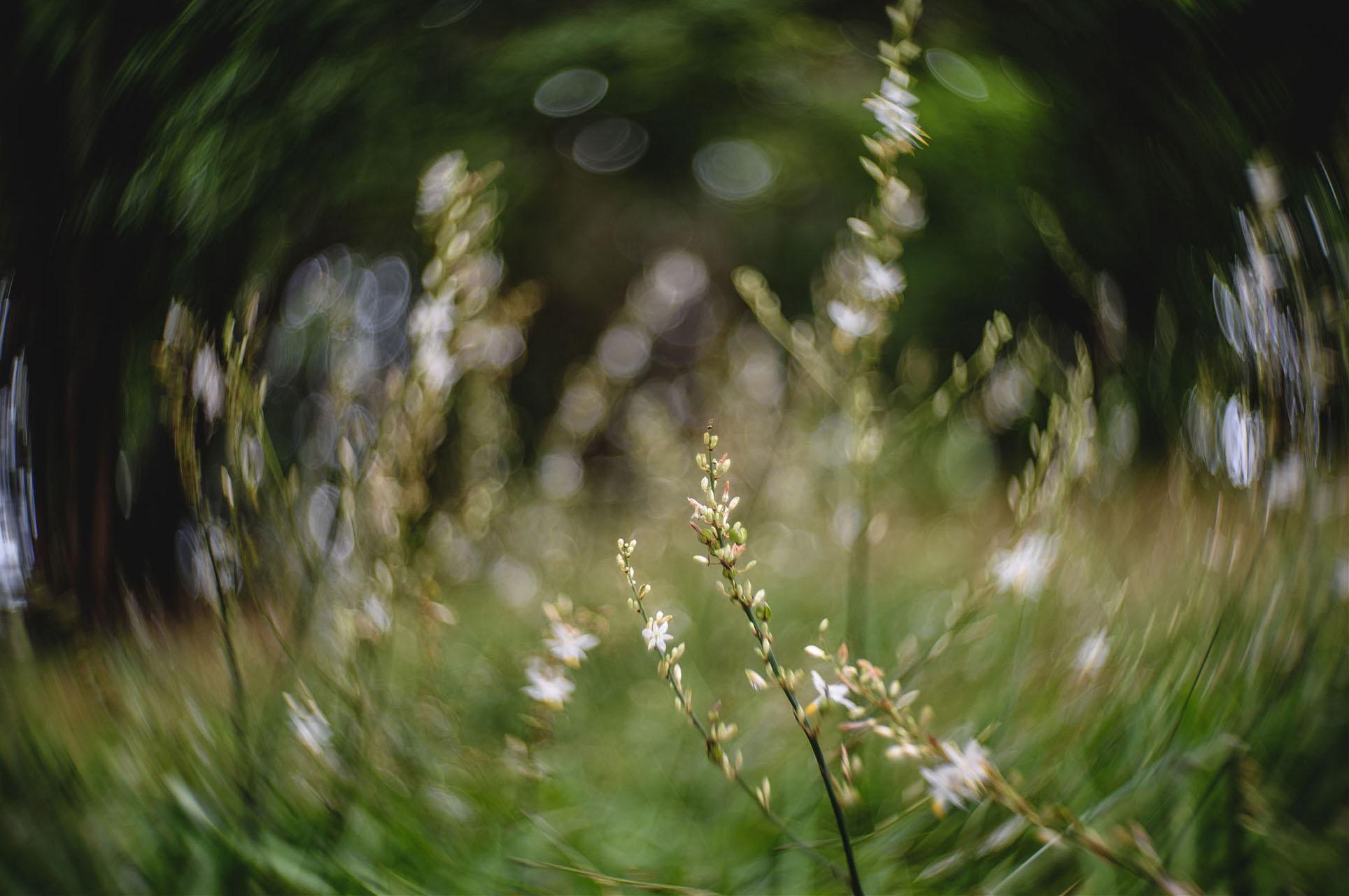 独特的旋转焦外,把玩Petzval 58mm F1.9镜头 - 知乎