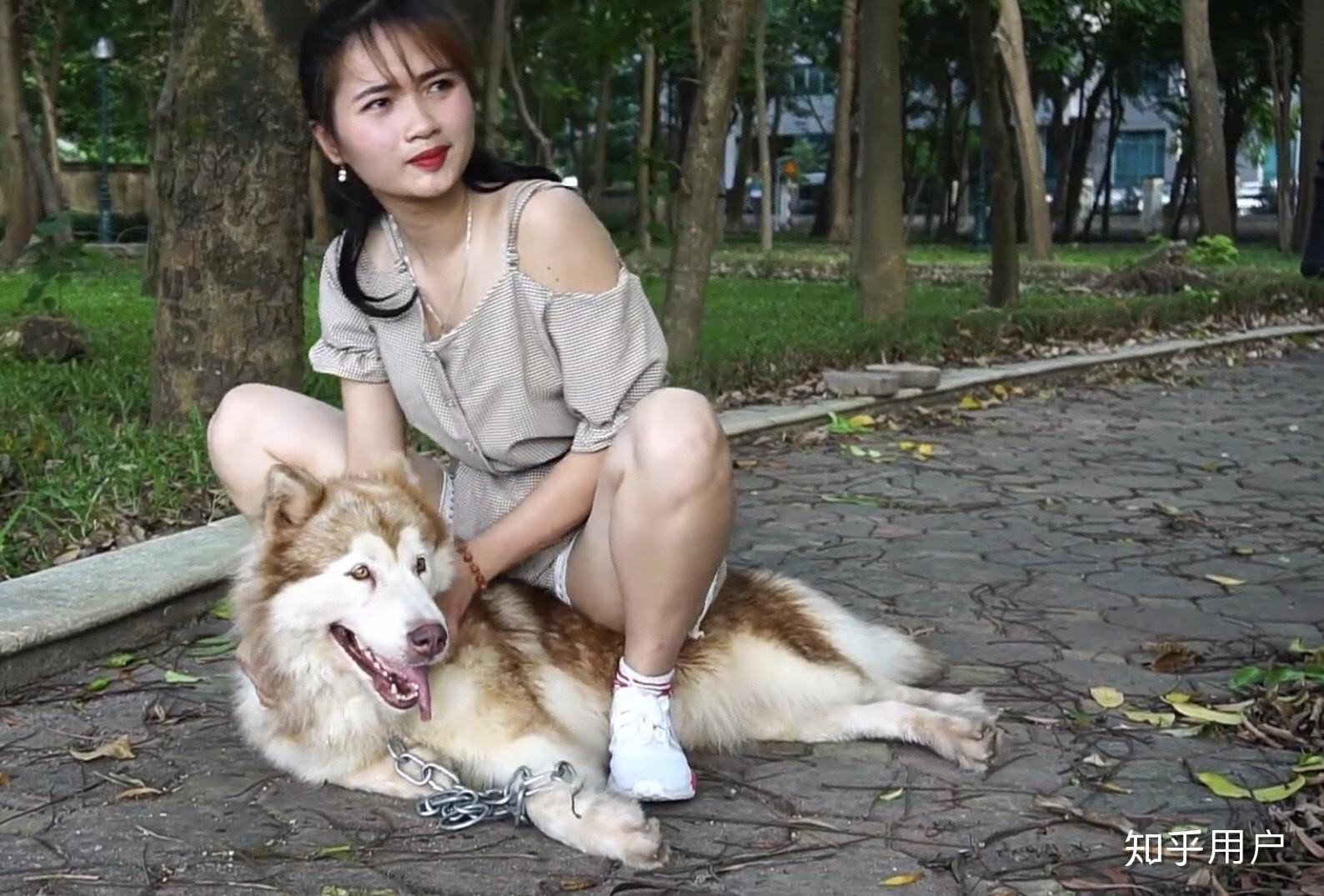 骑狗是怎样的体验