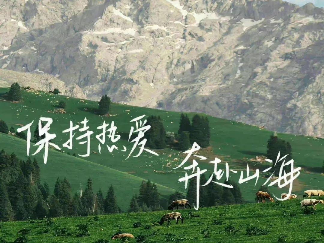 励志的电脑壁纸 - 知乎
