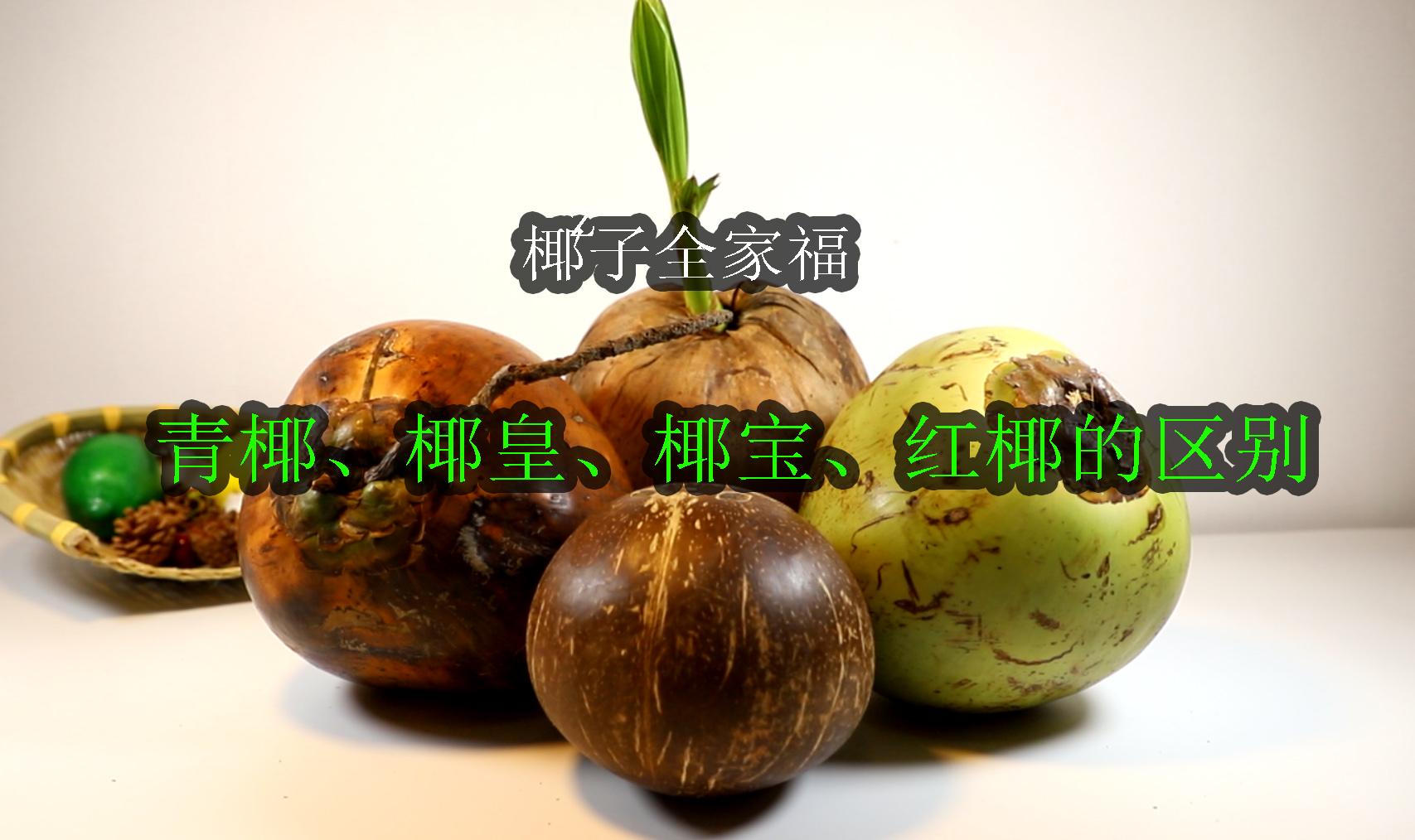 【第4篇】椰子全家福，青椰、椰皇、椰宝、红椰的区别 - 知乎