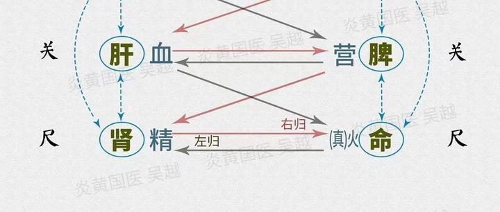 人的经络系统:任、督、冲脉及其功能 - 知乎
