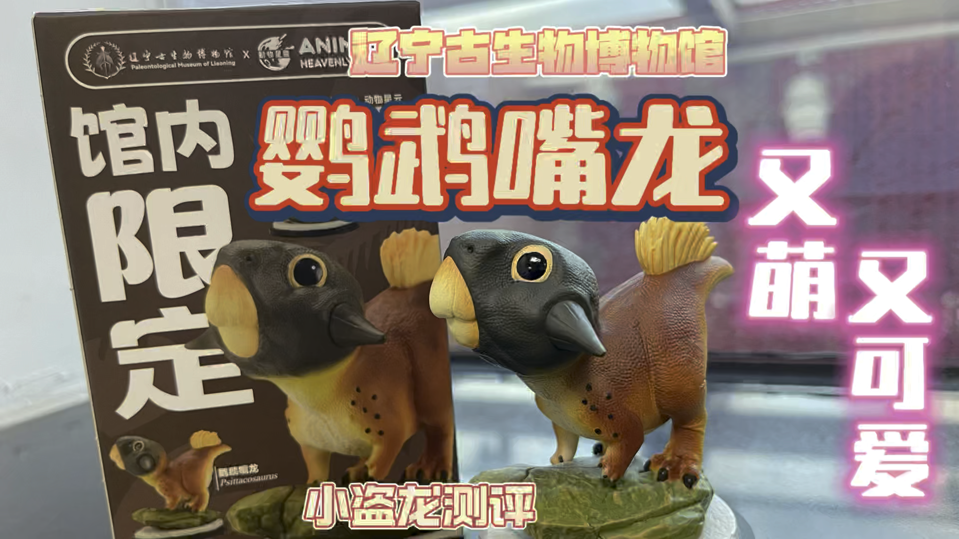 辽宁古生物博物馆限定:鹦鹉嘴龙