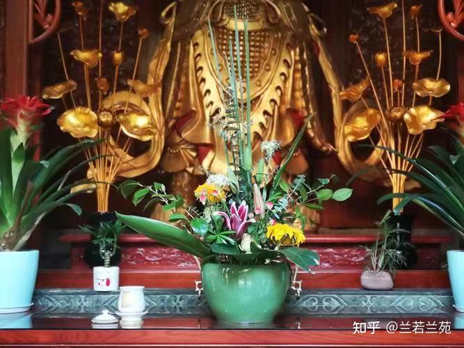 供花深刻认识[佛前供花]，一生处世如花 - 知乎