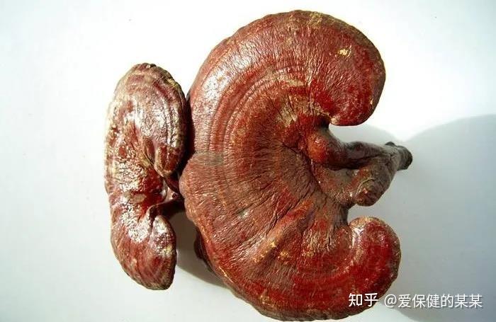 一起来看安神药之养心安神药——灵芝 - 知乎