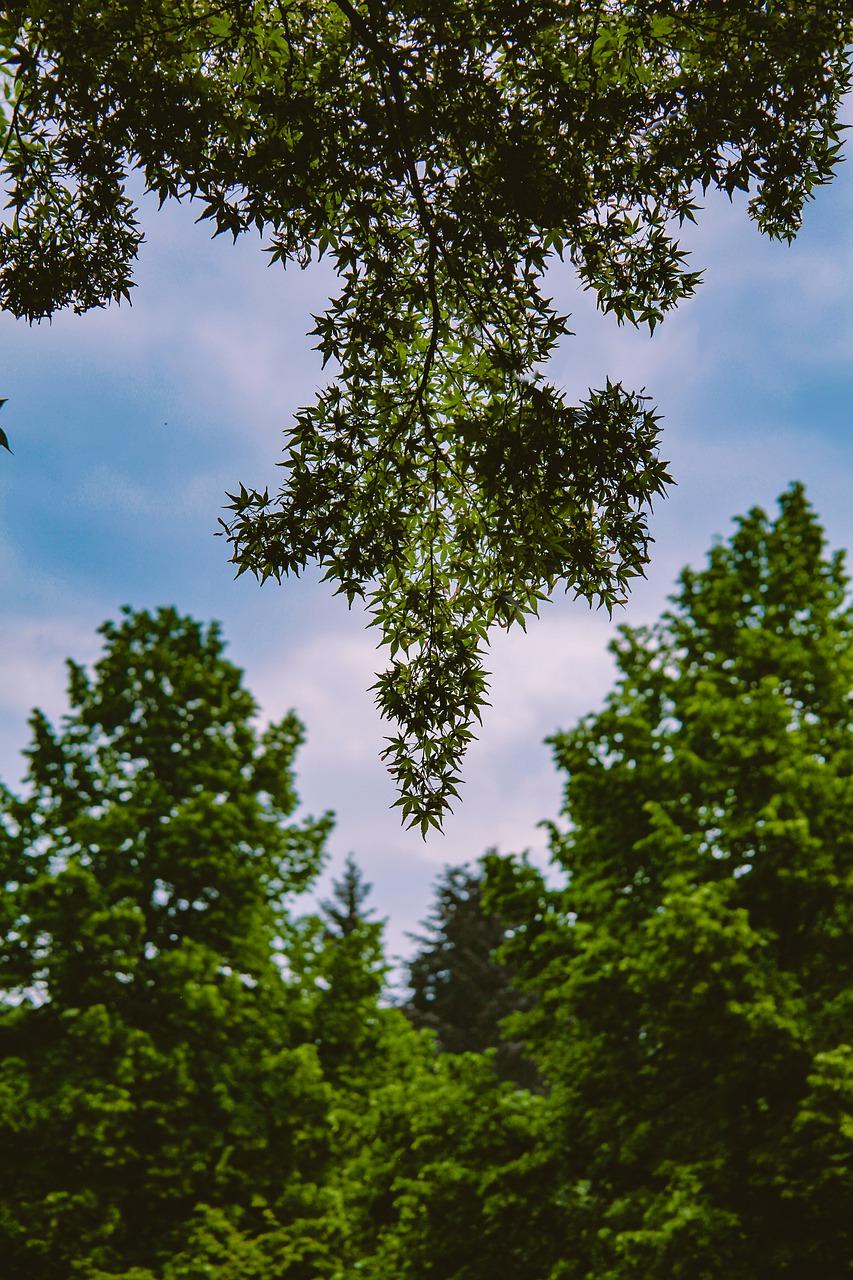 4. 精工细节匠心