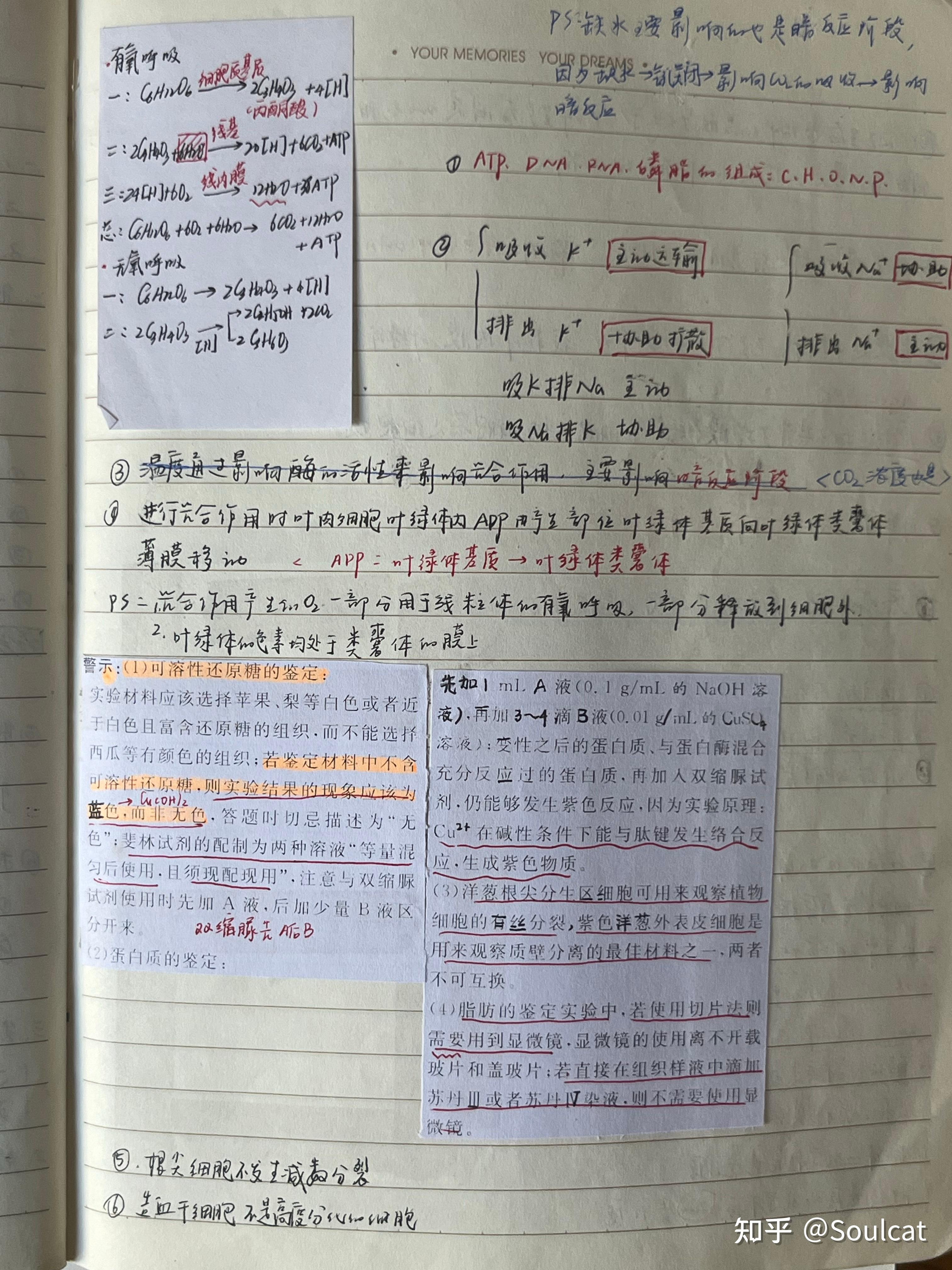 关于高考数学模板专项（错题本/答题步骤）的信息