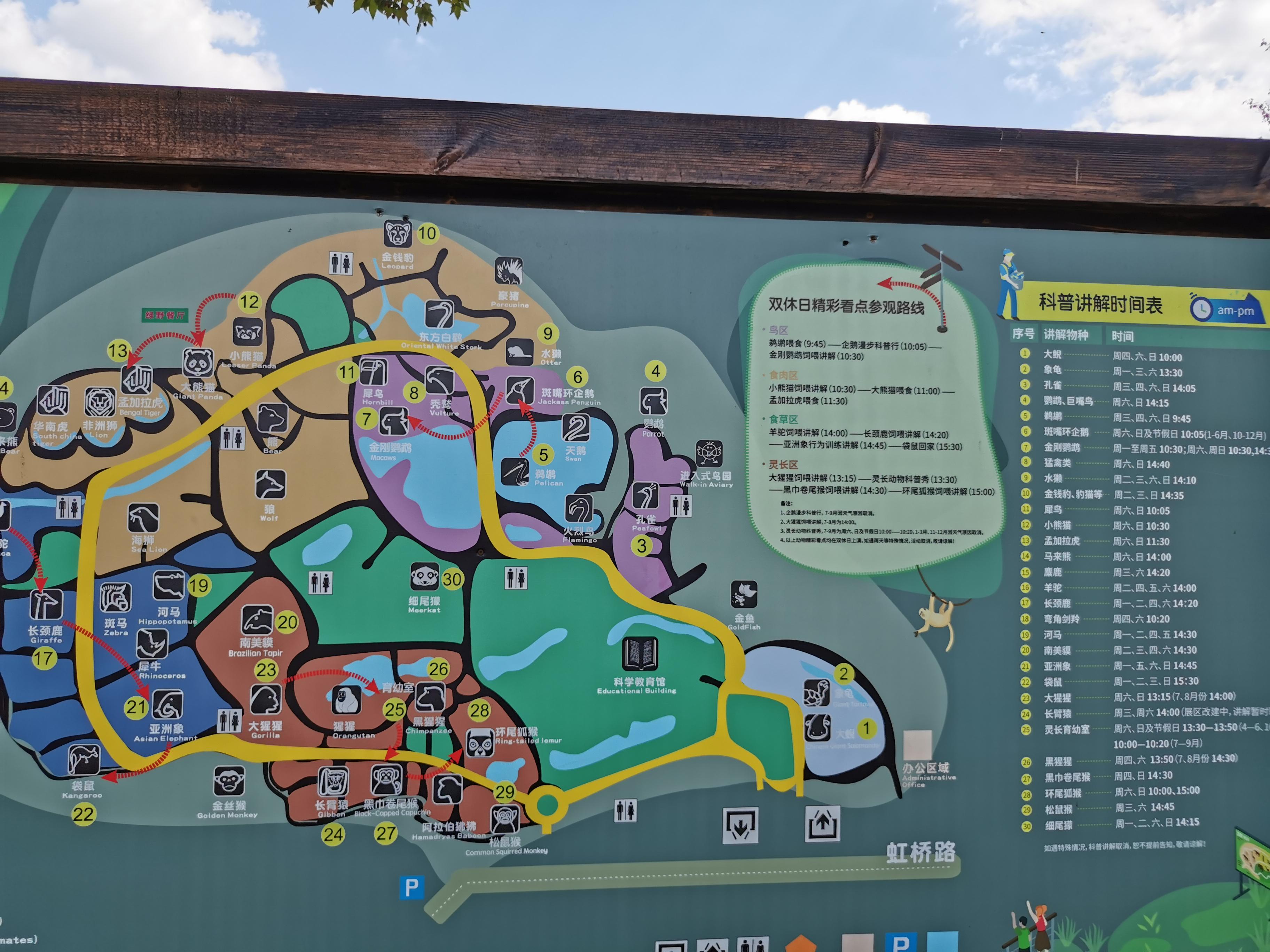 动画片对孩子诱惑力极大孩子因爱看而沉迷其中不能