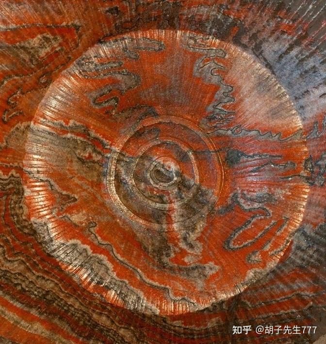 盐矿与盐疗的世界认知(5) - 知乎