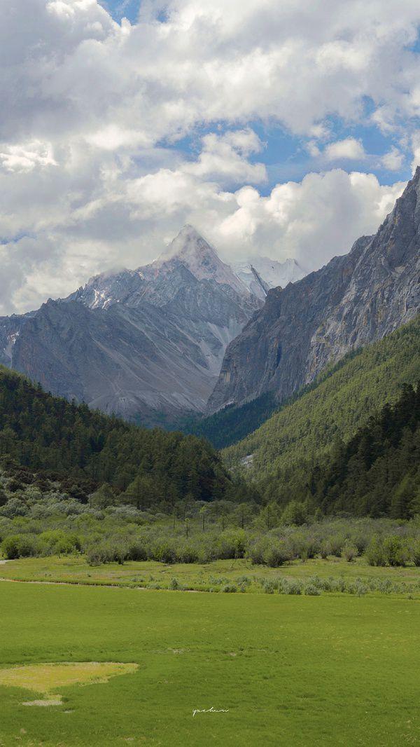 有哪些让你一眼万年的绿色系壁纸?(绿色壁纸大全图片清新自然)