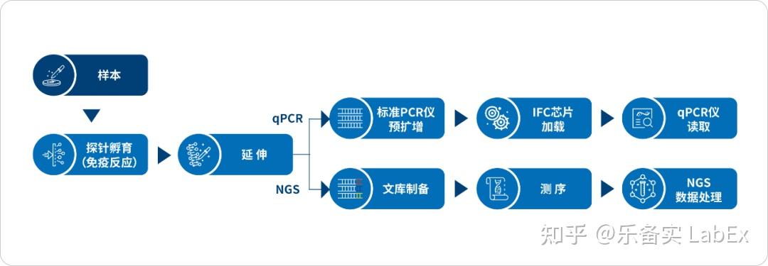 蛋白组学研究中的 Olink 技术：原理、优势与应用 - 知乎