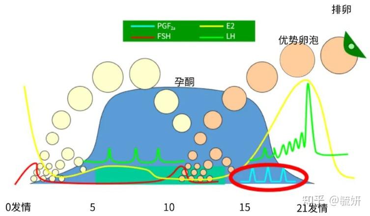 青年牛同期处理流程 - 知乎