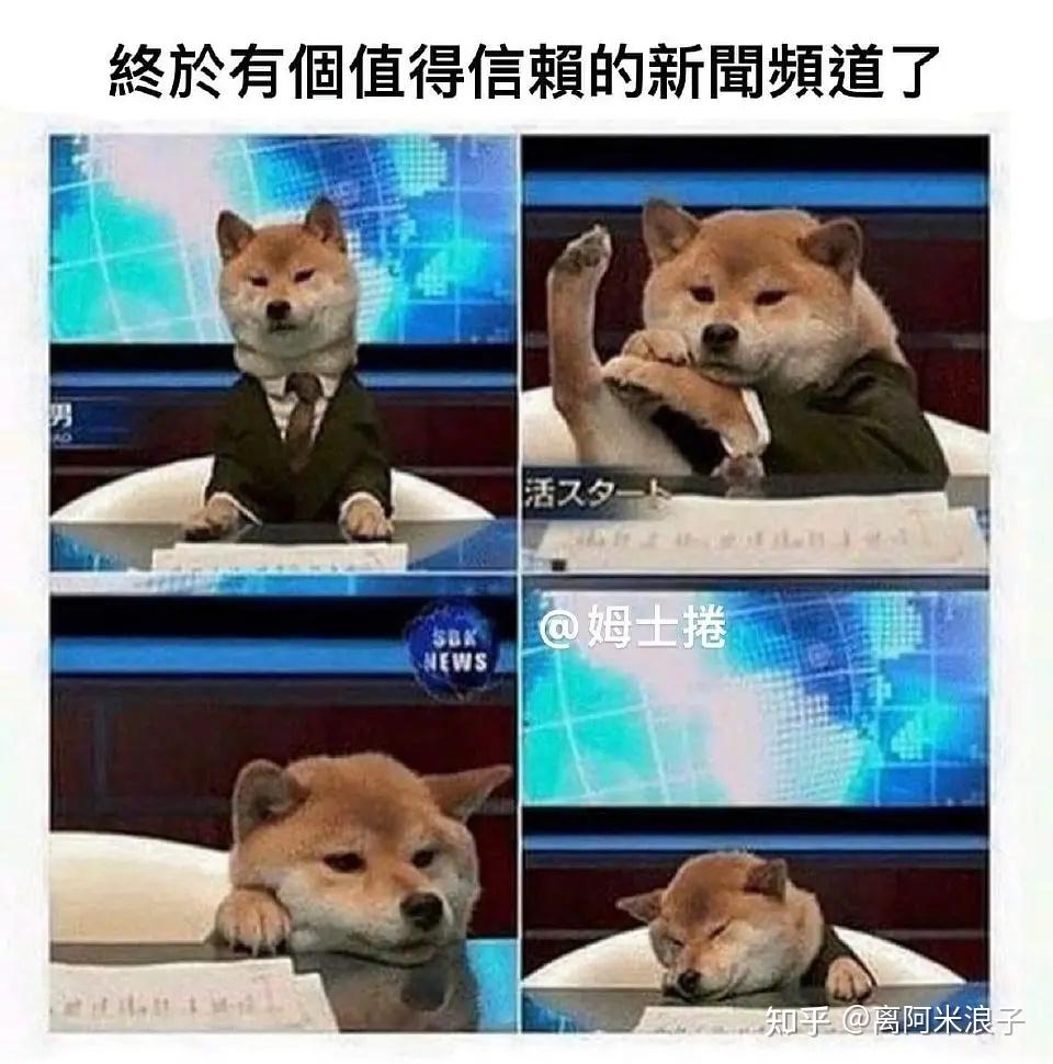 有没有那种一看就笑死的表情包或梗图? - 知乎