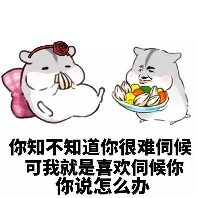 女朋友生气了一定要哄吗